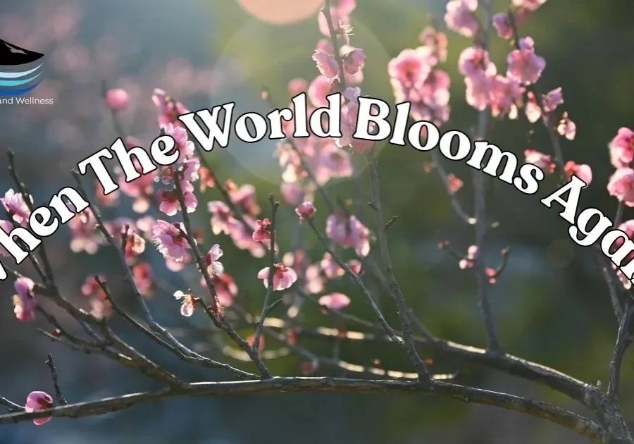 Springtime cherry blossoms and text